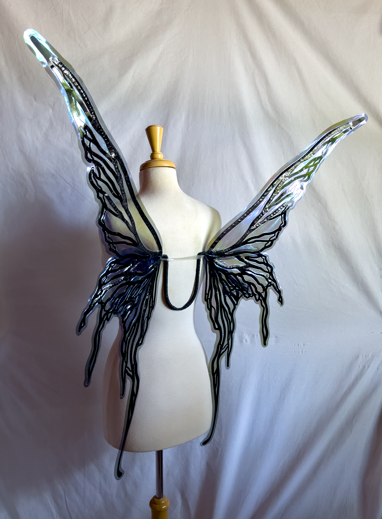 Caldonia in Blue and Black