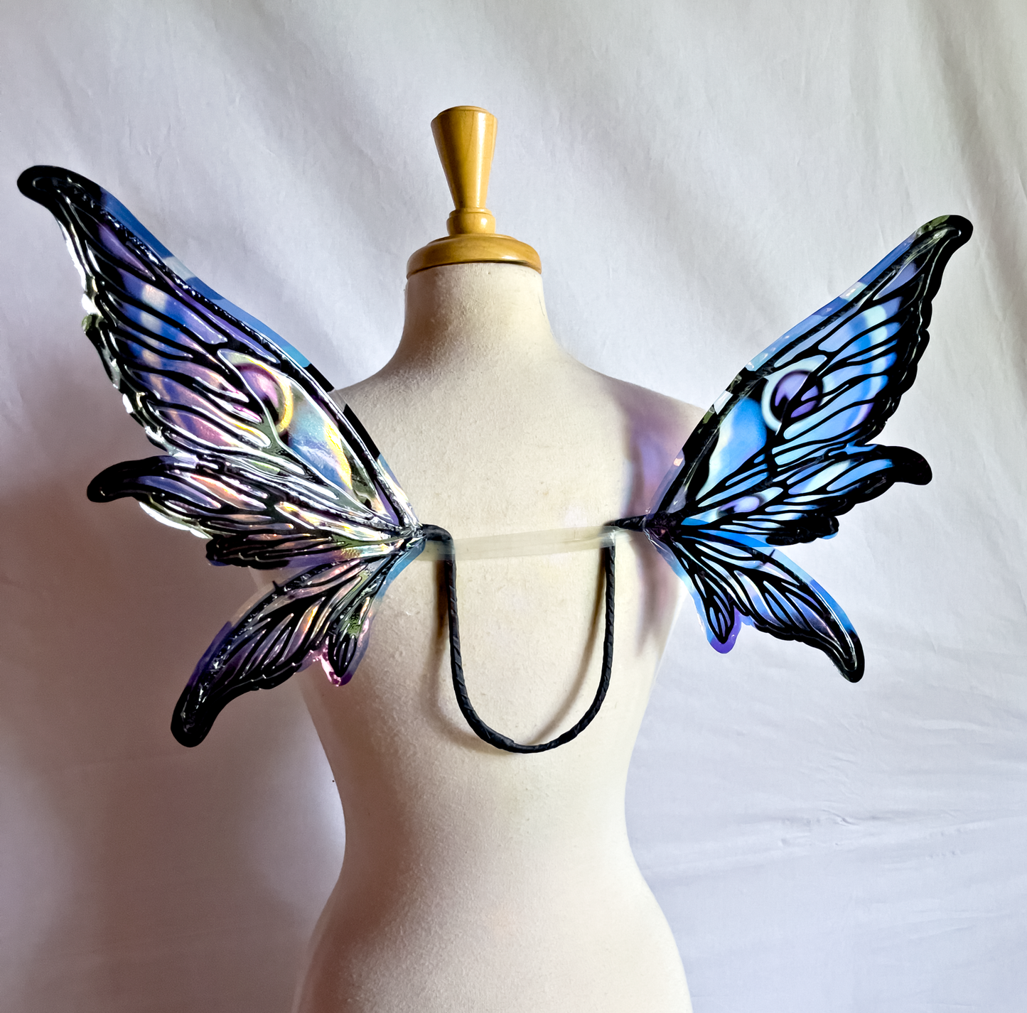 Fabled Forest Collection - Rowan with Frames in Black and Digital Art in a Blue Butterfly Pattern