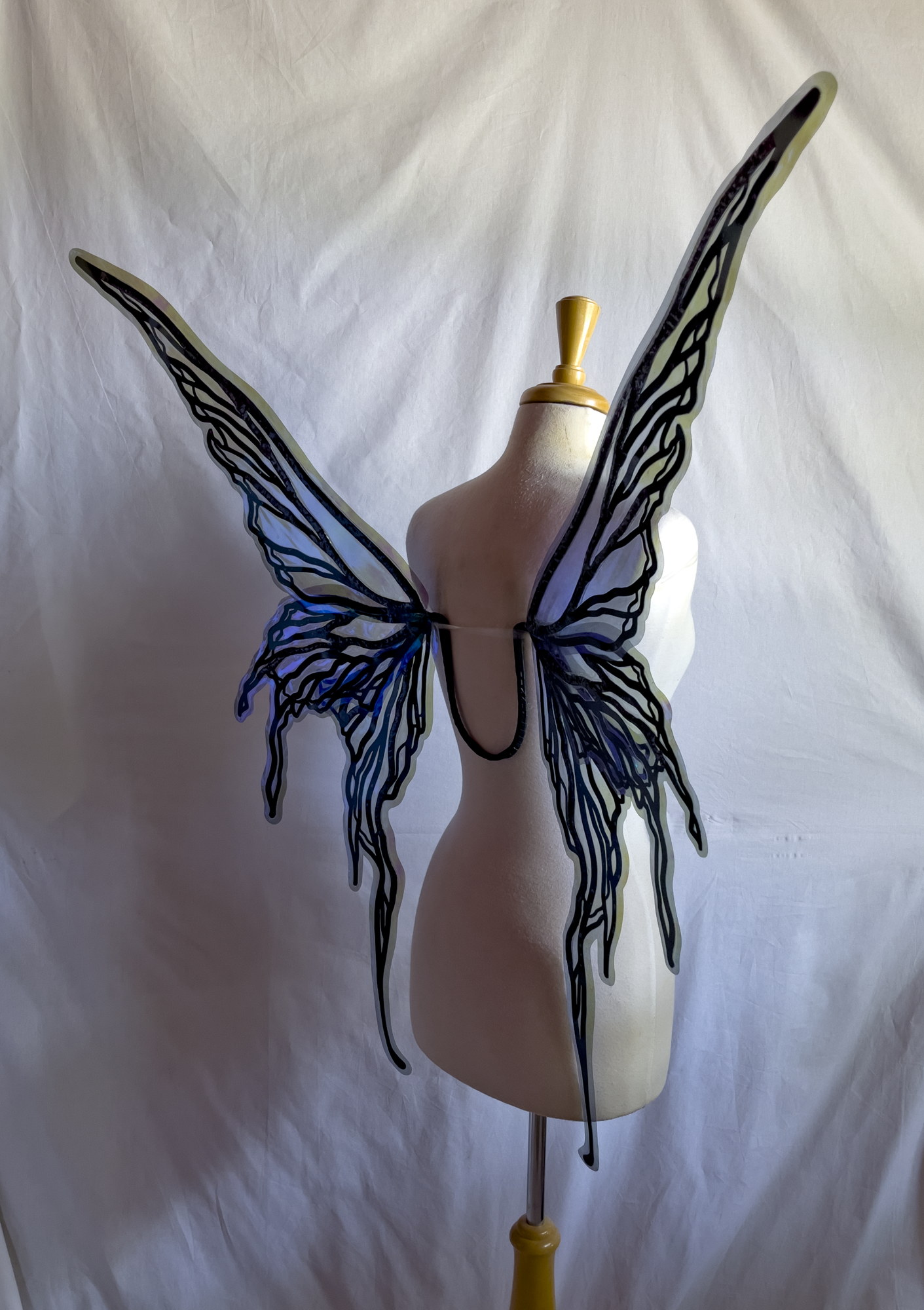 Caldonia in Blue and Black
