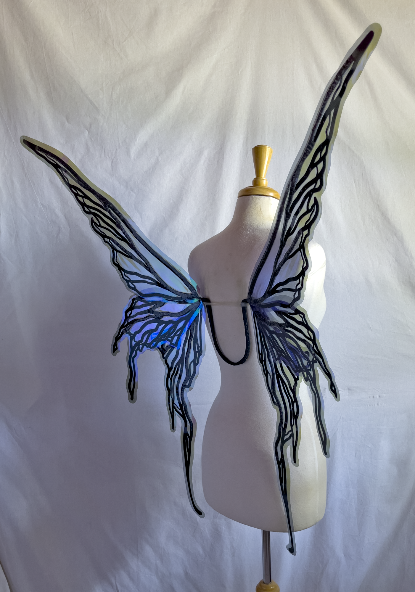 Caldonia in Blue and Black