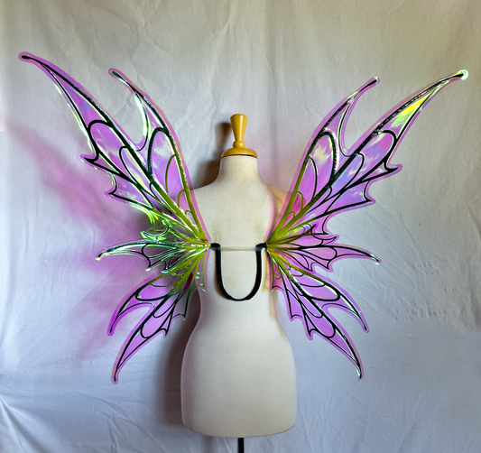 Spooky Fairy Wings in Graduated Greens