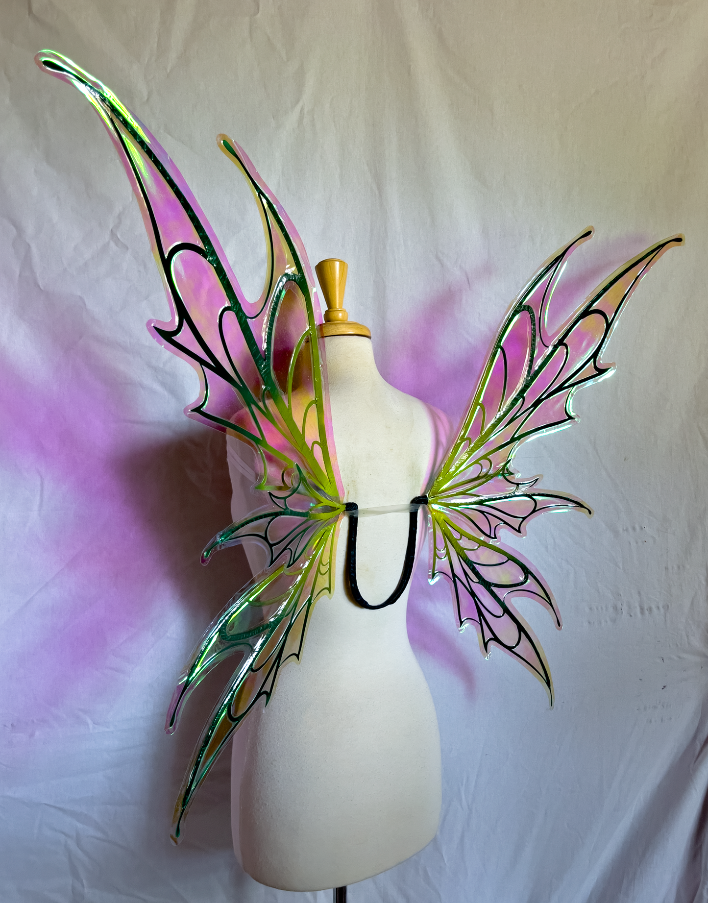 Spooky Fairy Wings in Graduated Greens