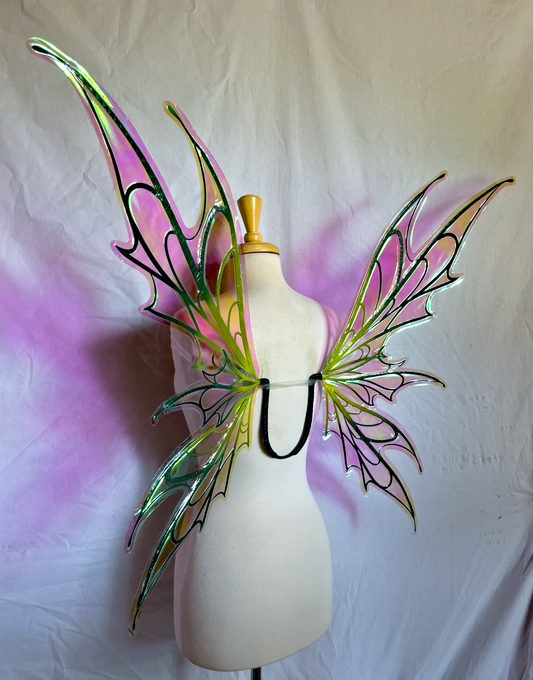 Spooky Fairy Wings in Graduated Greens