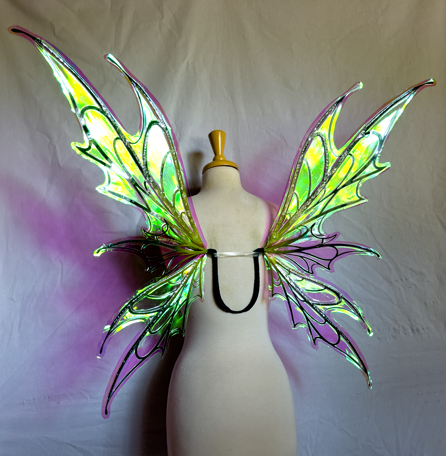 Spooky Fairy Wings in Graduated Greens